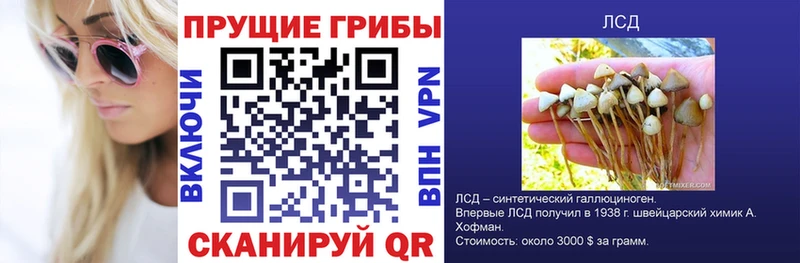 Галлюциногенные грибы мицелий  наркота  Казань 