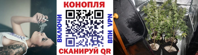 Конопля White Widow  магазин продажи наркотиков  Казань 